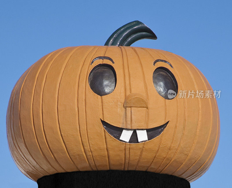 穿高领毛衣的Smiley pumpkin